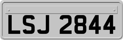 LSJ2844