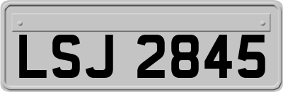 LSJ2845