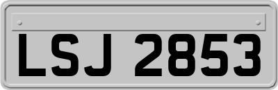 LSJ2853