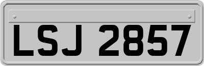 LSJ2857