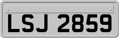 LSJ2859