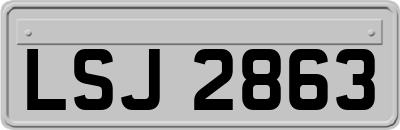 LSJ2863