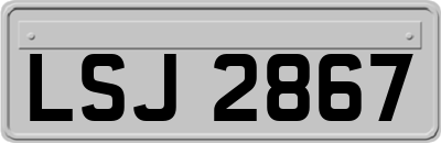 LSJ2867