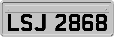 LSJ2868
