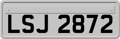 LSJ2872