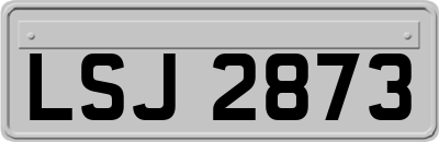 LSJ2873