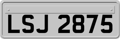 LSJ2875