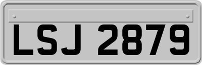 LSJ2879
