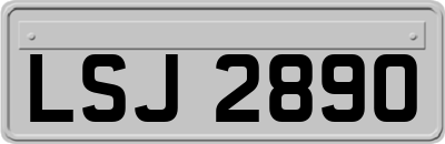 LSJ2890