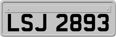 LSJ2893