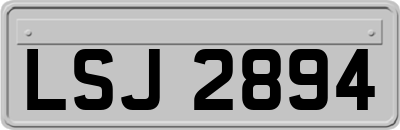 LSJ2894