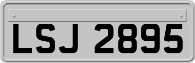 LSJ2895