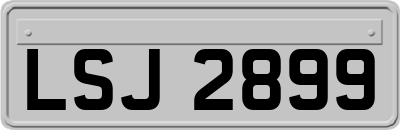 LSJ2899