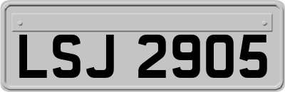 LSJ2905