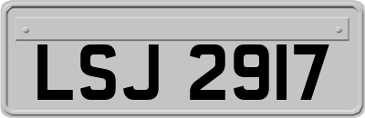 LSJ2917