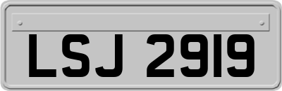 LSJ2919
