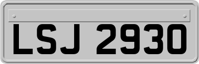 LSJ2930