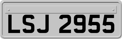 LSJ2955