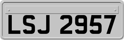 LSJ2957