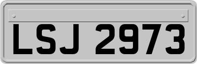 LSJ2973