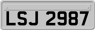 LSJ2987