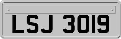 LSJ3019