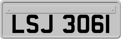 LSJ3061