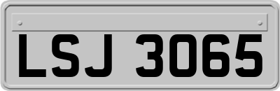 LSJ3065