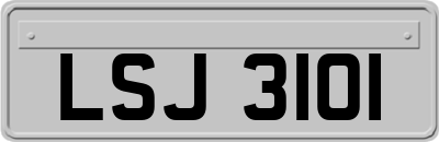 LSJ3101