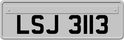 LSJ3113
