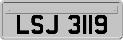 LSJ3119