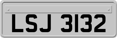 LSJ3132