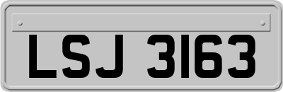 LSJ3163