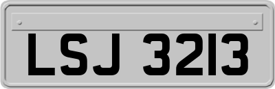 LSJ3213
