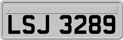 LSJ3289