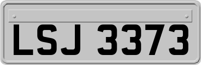LSJ3373