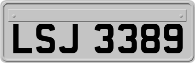 LSJ3389