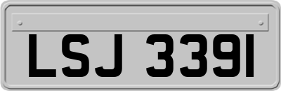 LSJ3391