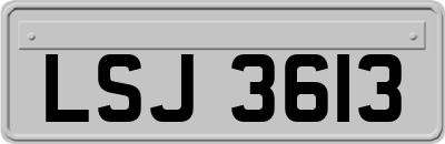 LSJ3613