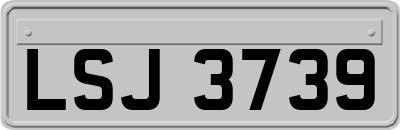 LSJ3739