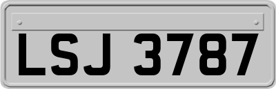 LSJ3787