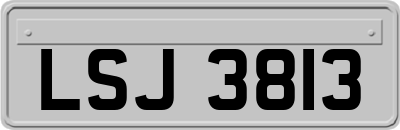 LSJ3813