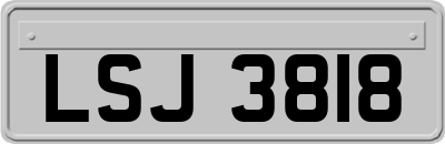 LSJ3818
