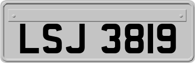 LSJ3819
