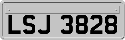 LSJ3828
