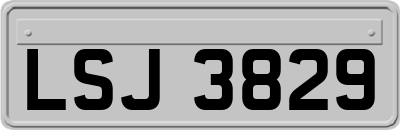 LSJ3829