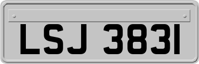 LSJ3831
