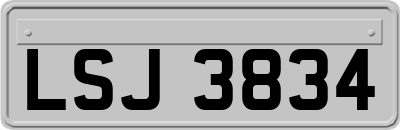 LSJ3834
