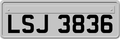 LSJ3836