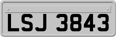 LSJ3843